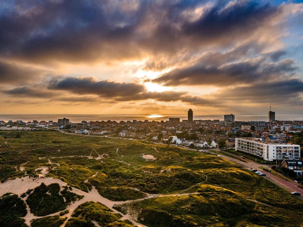 Boom Zandvoort